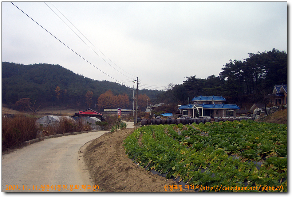 횡성콩마당 이미지