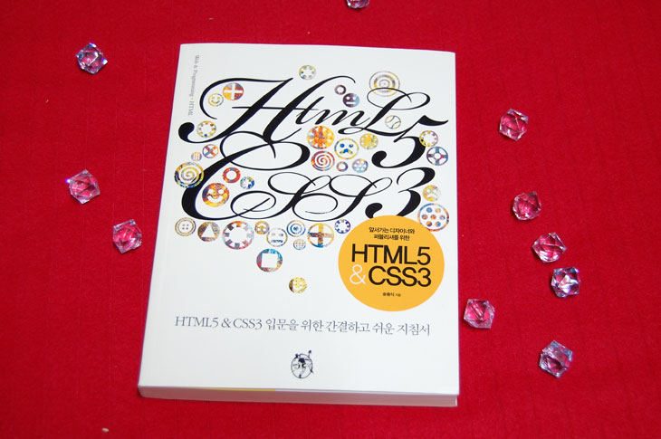 HTML5, CSS3, HTML5 CSS3 입문을 위한 간결하고 쉬운 지침서, 지침서, HTML5CSS3, 책, 책 추천, HTML5 책 추천, HTML5 추천, CSS3 추천, 추천, BOOK, IT, 인터넷 익스플로러9, IE9, 아이구