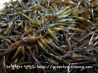 맛있는소리 이미지