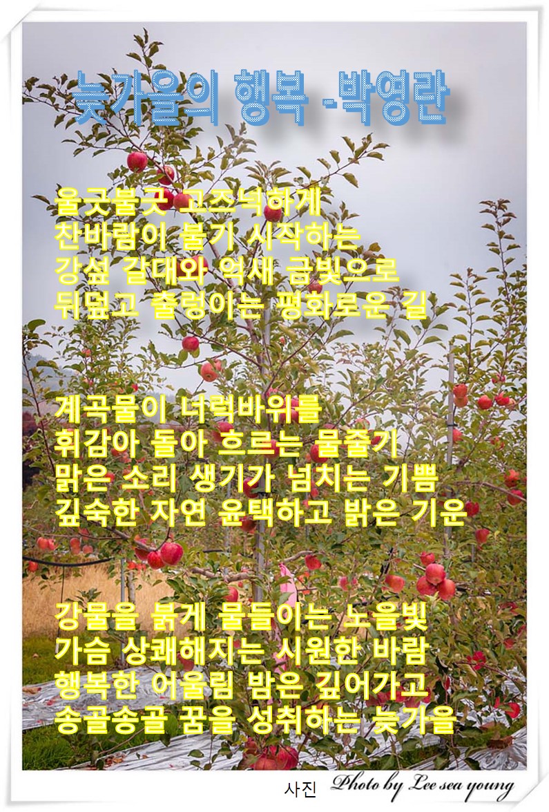 이 글은 파워포인트에서 만든 이미지입니다.  늦가을의 행복 -박영란