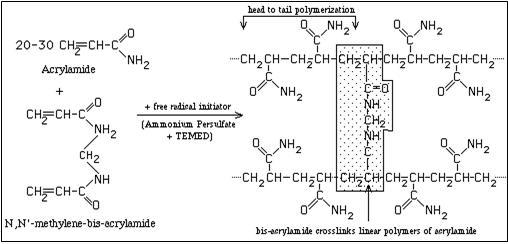 Persulfate - definition of Persulfate by The Free Dictionary