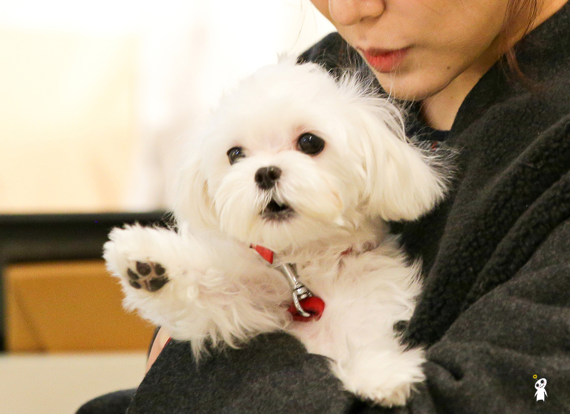 [PIC][28-11-2013]Tiffany ghé thăm cửa hàng "QUA" ở Hyundai Department Store vào trưa nay - Page 3 2756D64052980CBA2D653F